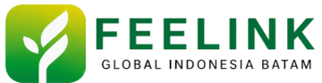 PT. Feelink Global Indonesia Batam