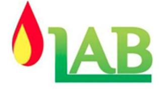 PT Leomas Anugerah Bersaudara
