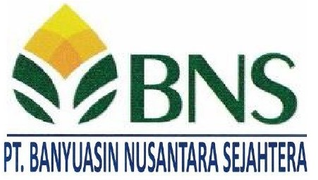 PT. BANYUASIN NUSANTARA SEJAHTERA