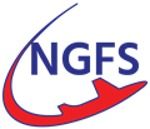PT. NGFS INDO NUSA