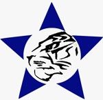 PT Tiger Star Indonesia