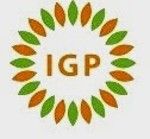 PT IGP INTERNASIONAL