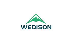 PT Wedison Green Energy Group