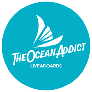 THE OCEAN ADDICT