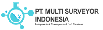 PT MULTI SURVEYOR INDONESIA