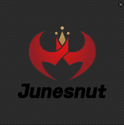 PT JUNESNUT TECH INDONESIA