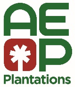 PT Anglo Eastern Plantations Management Indonesia