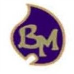 PT.Bonanza Megah