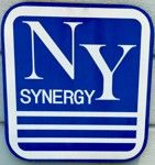 PT NANYANG SYNERGY INDONESIA