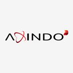 PT Axindo Infotama