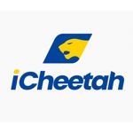 PT. ICHEETAH LOGISTICS INDONESIA